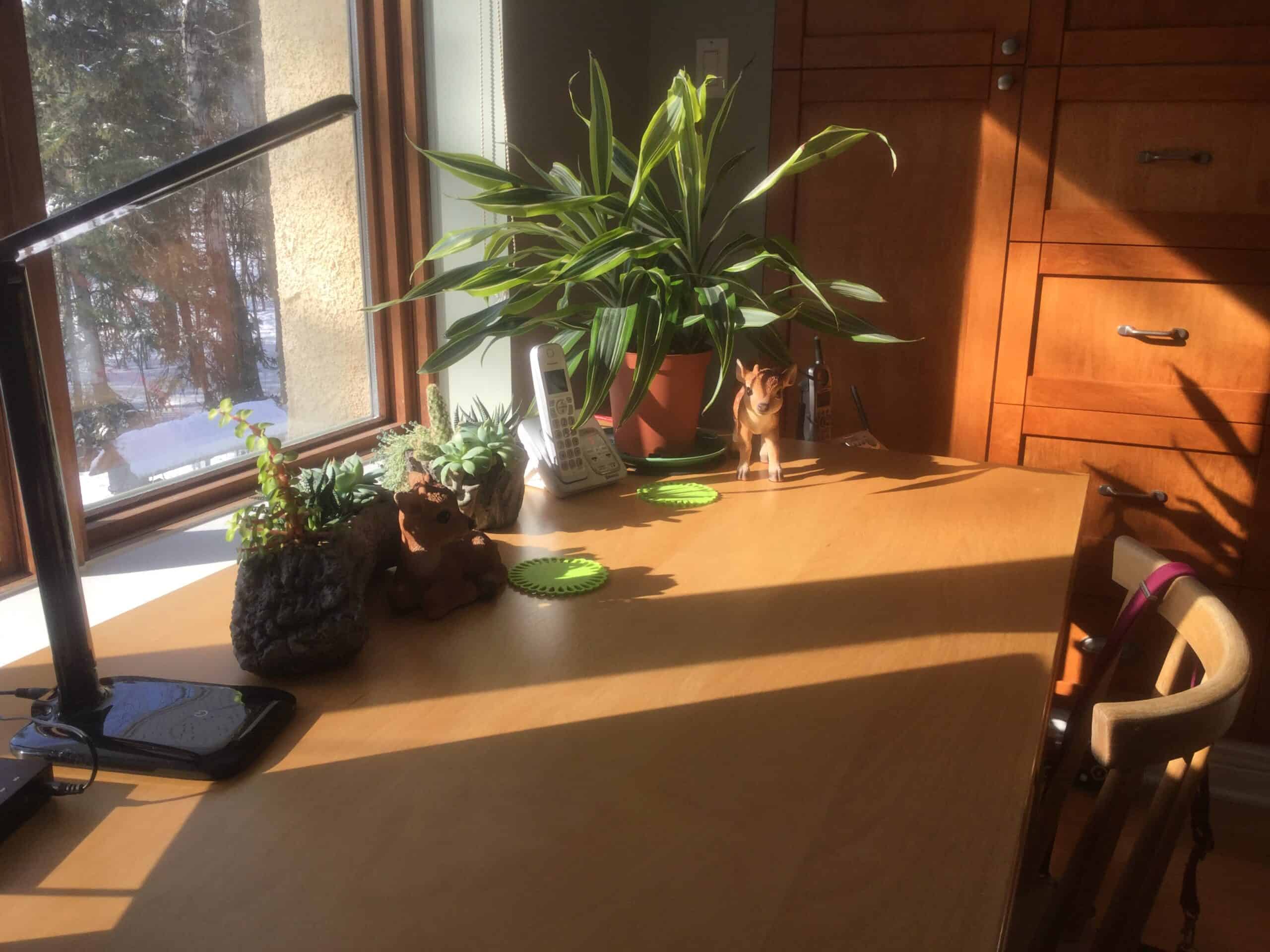 My Desk On A Sunny Winter Day
