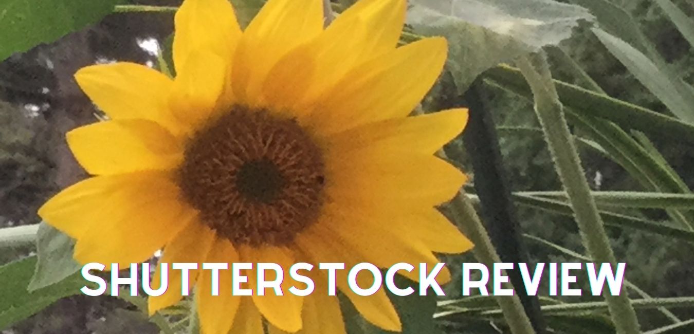 Shutterstock Review