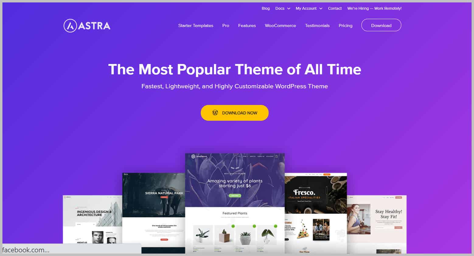 Astra WordPress Theme