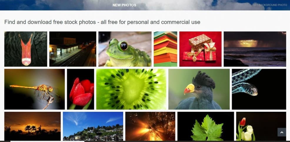 Best Sites To Find Free Images For Your Blog