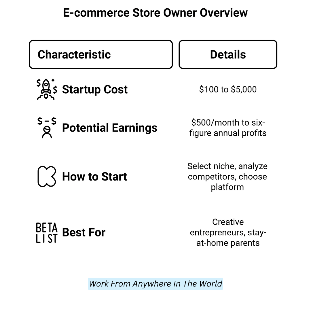 E-Commerce Store Owner Overview