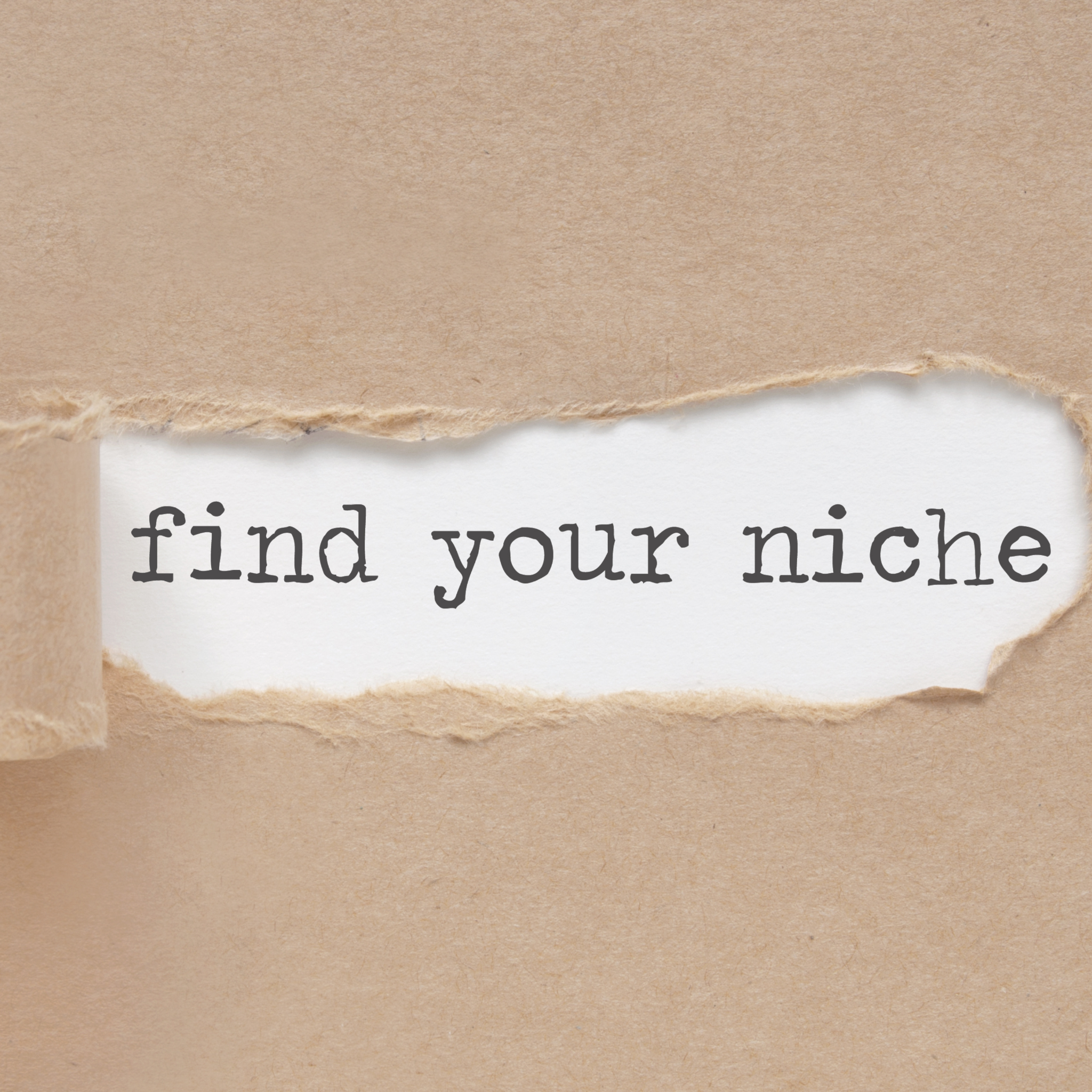 Identify Your Niche And Purpose