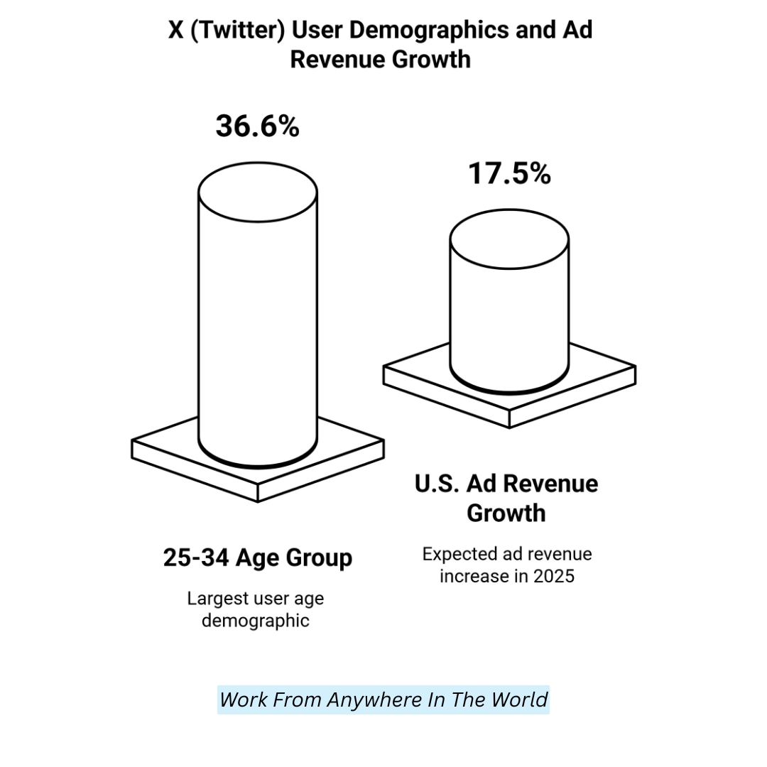 X (Twitter) User Demographics And Add Revenue Growth