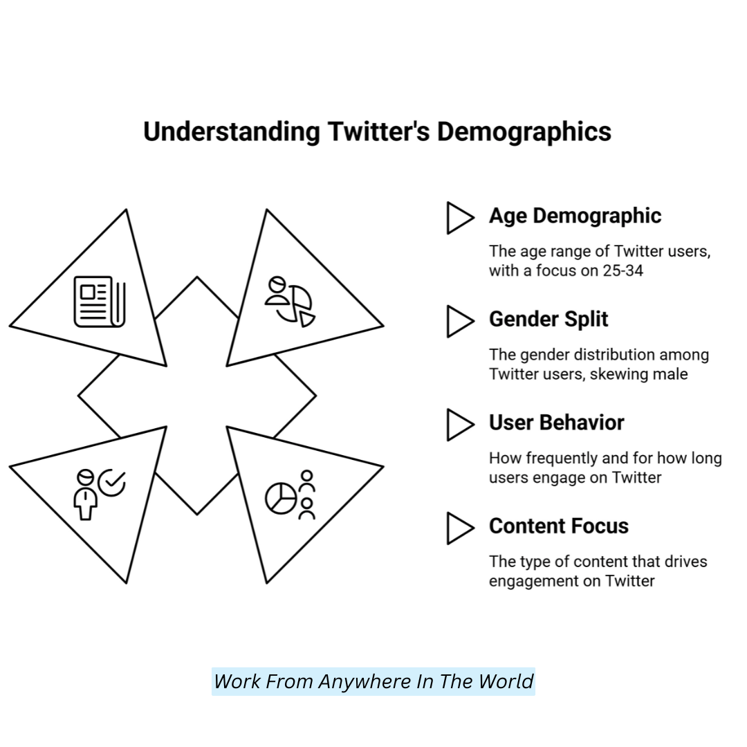 Understanding Twitter's Demographics