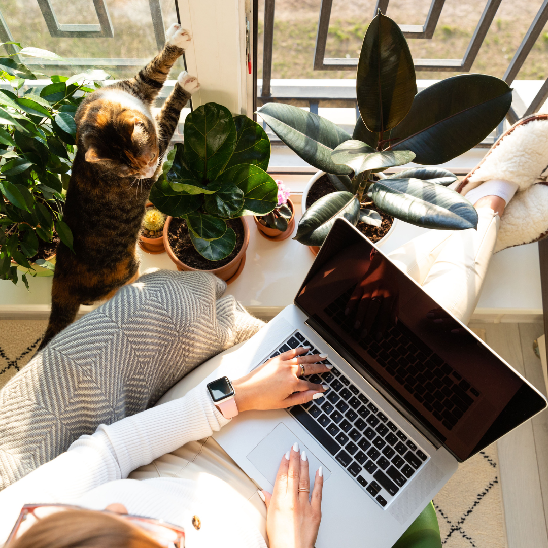 Focused workspace with laptop and notebook representing learning and growth through Wealthy Affiliate promotions. Focused workspace with laptop and notebook representing learning and growth through Wealthy Affiliate promotions.