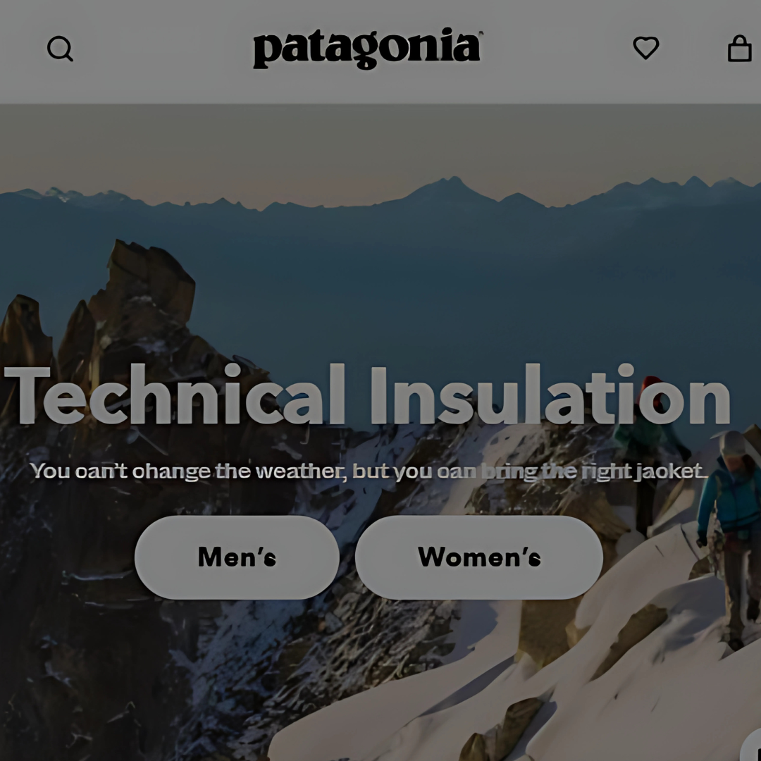 Patagonia – Activism As A Core Identity Patagonia – Activism As A Core Identity