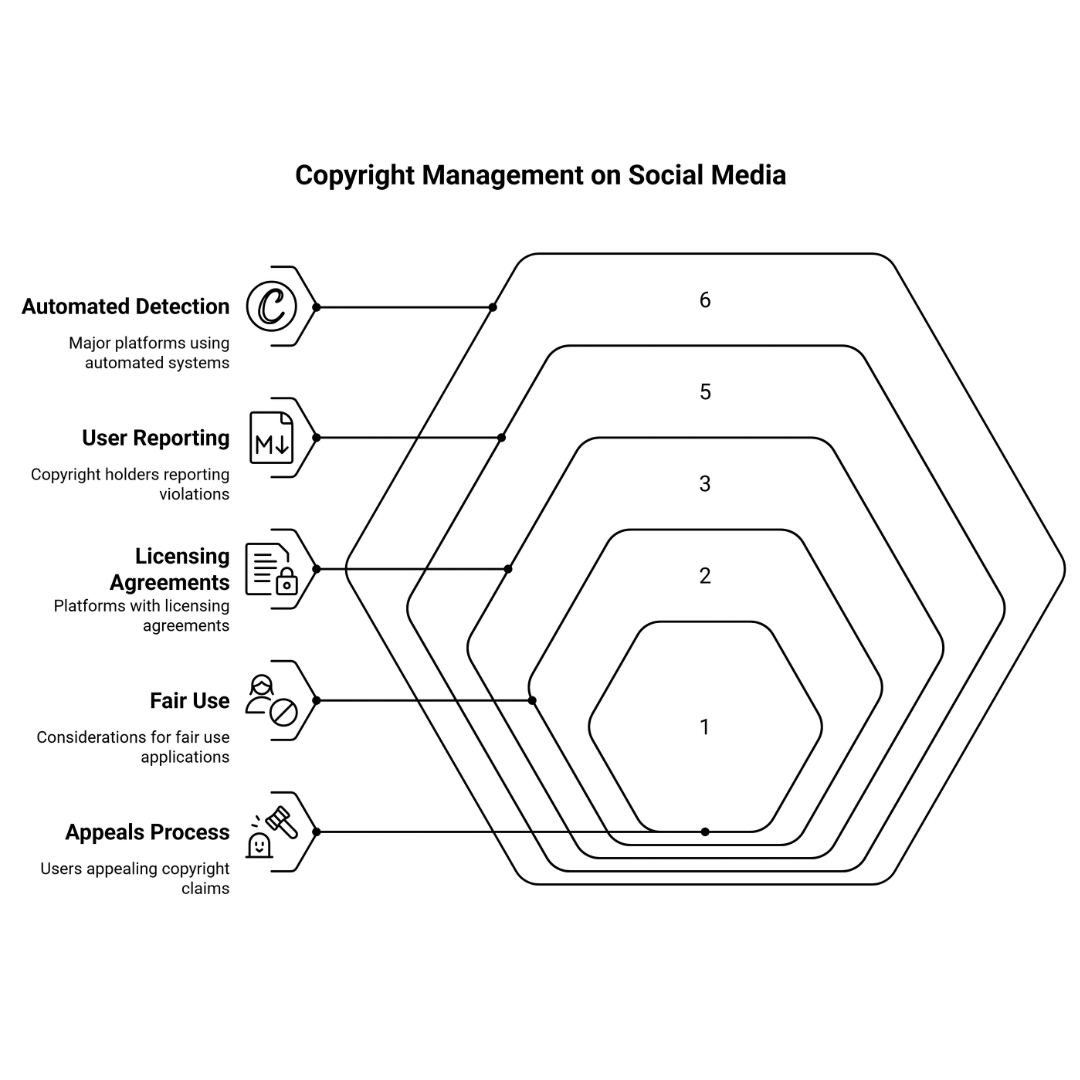 Copyright Management On Social Media